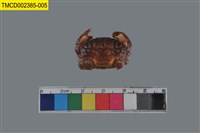 藏品(絨毛仿銀杏蟹)的圖片